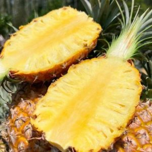 pineapple (queen & cayenne)