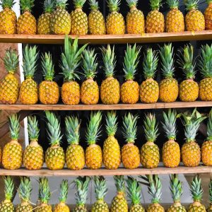 pineapple (queen & cayenne)