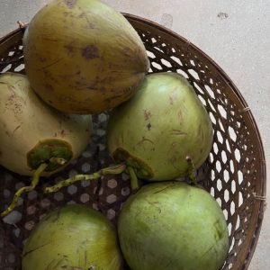 coconut (mature & young)