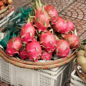 dragon fruit (white & red flesh)