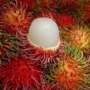 rambutan