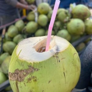 coconut (mature & young)