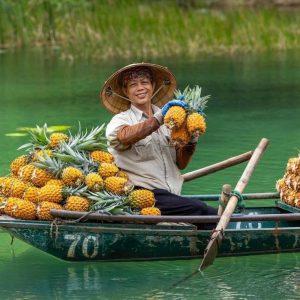 pineapple (queen & cayenne)