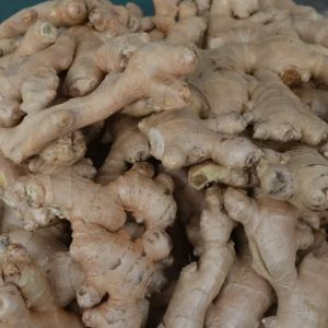 ginger (fresh & dry)