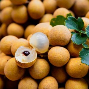 longan
