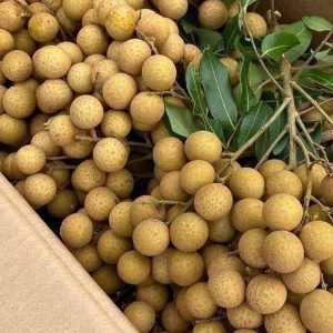longan