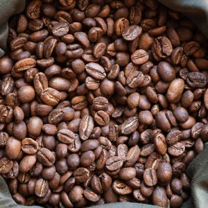 robusta coffee (green)